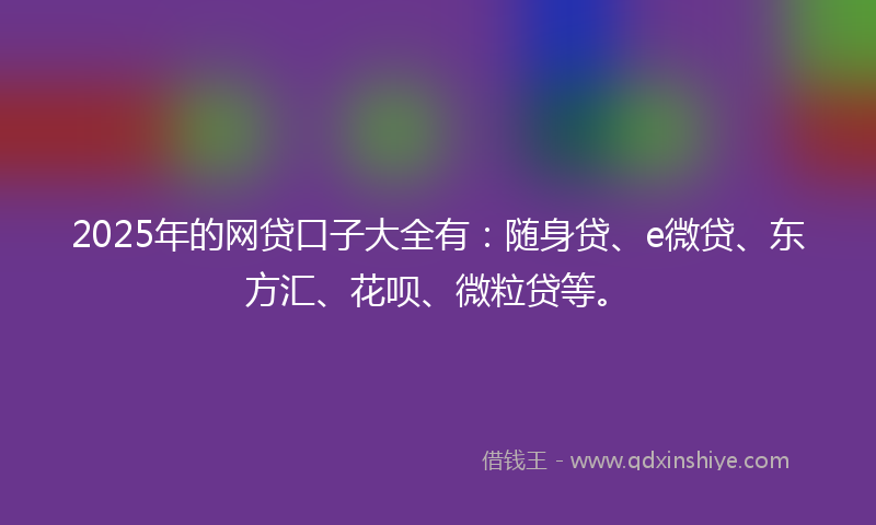 2025年的网贷口子大全有：随身贷、e微贷、东方汇、花呗、微粒贷等。