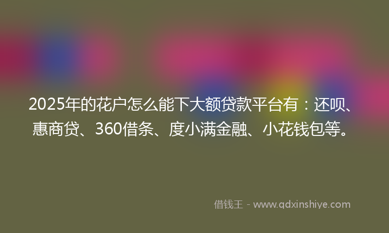 2025年的花户怎么能下大额贷款平台有：还呗、惠商贷、360借条、度小满金融、小花钱包等。