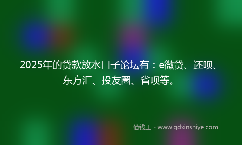 2025年的贷款放水口子论坛有：e微贷、还呗、东方汇、投友圈、省呗等。