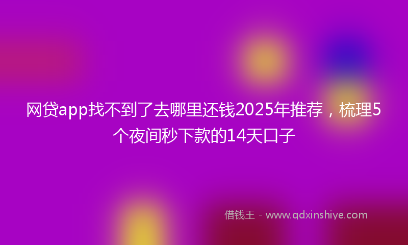 网贷app找不到了去哪里还钱2025年推荐，梳理5个夜间秒下款的14天口子