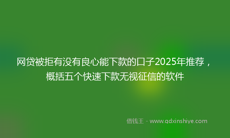 网贷被拒有没有良心能下款的口子2025年推荐，概括五个快速下款无视征信的软件