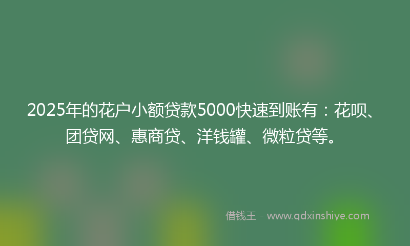 2025年的花户小额贷款5000快速到账有：花呗、团贷网、惠商贷、洋钱罐、微粒贷等。