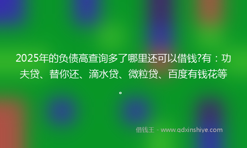 2025年的负债高查询多了哪里还可以借钱?有：功夫贷、替你还、滴水贷、微粒贷、百度有钱花等。