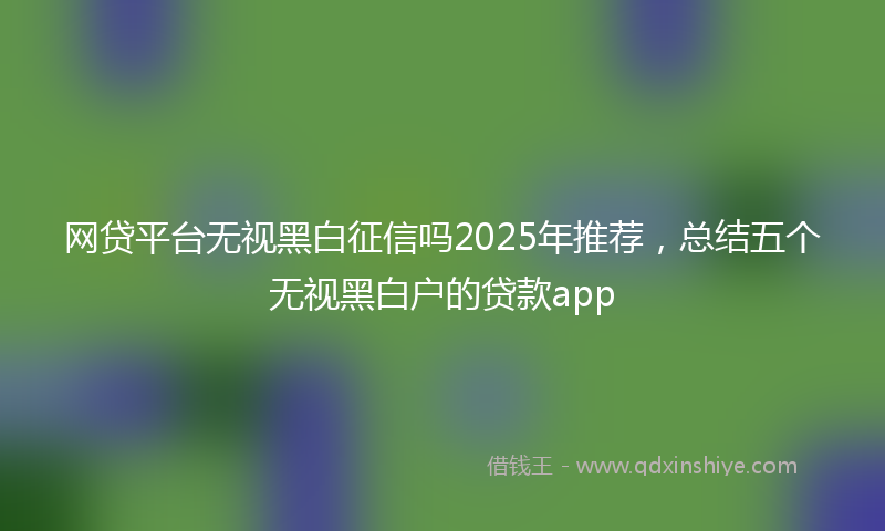 网贷平台无视黑白征信吗2025年推荐，总结五个无视黑白户的贷款app