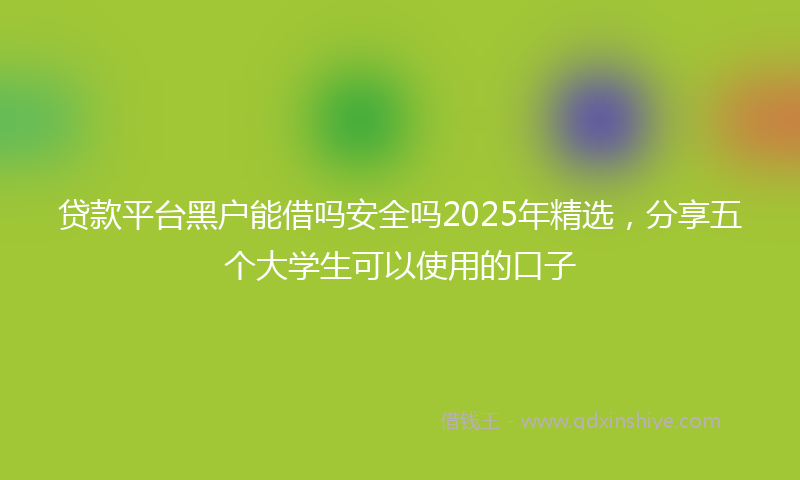 贷款平台黑户能借吗安全吗2025年精选，分享五个大学生可以使用的口子