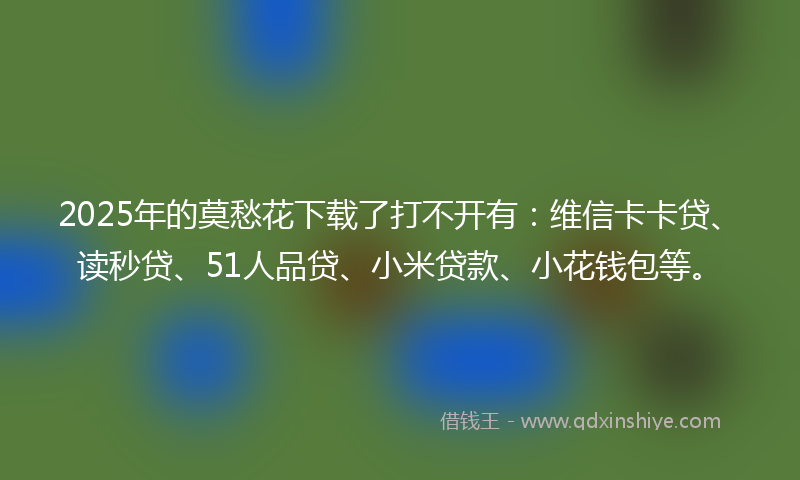 2025年的莫愁花下载了打不开有：维信卡卡贷、读秒贷、51人品贷、小米贷款、小花钱包等。