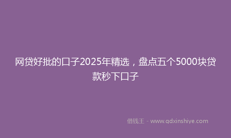 网贷好批的口子2025年精选，盘点五个5000块贷款秒下口子