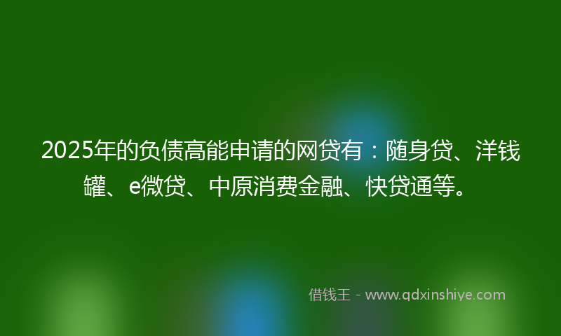 2025年的负债高能申请的网贷有：随身贷、洋钱罐、e微贷、中原消费金融、快贷通等。