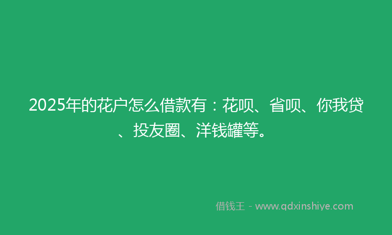 2025年的花户怎么借款有：花呗、省呗、你我贷、投友圈、洋钱罐等。