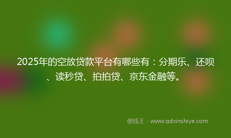 2025年的空放贷款平台有哪些有：分期乐、还呗、读秒贷、拍拍贷、京东金融等。