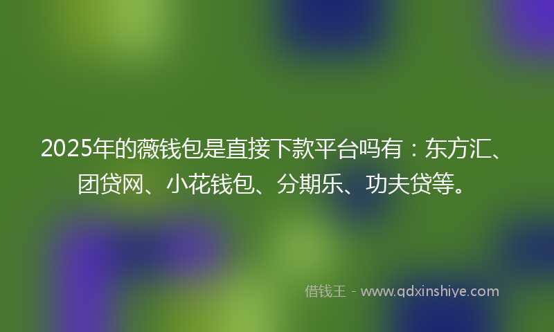 2025年的薇钱包是直接下款平台吗有：东方汇、团贷网、小花钱包、分期乐、功夫贷等。