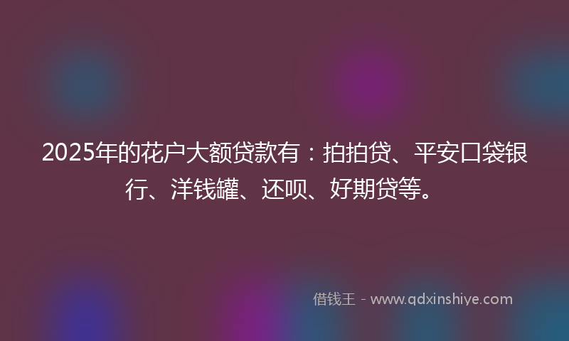 2025年的花户大额贷款有：拍拍贷、平安口袋银行、洋钱罐、还呗、好期贷等。
