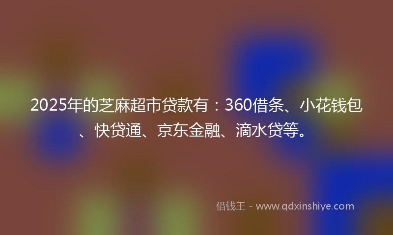 2025年的芝麻超市贷款有：360借条、小花钱包、快贷通、京东金融、滴水贷等。