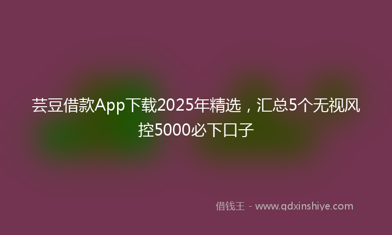 芸豆借款App下载2025年精选，汇总5个无视风控5000必下口子