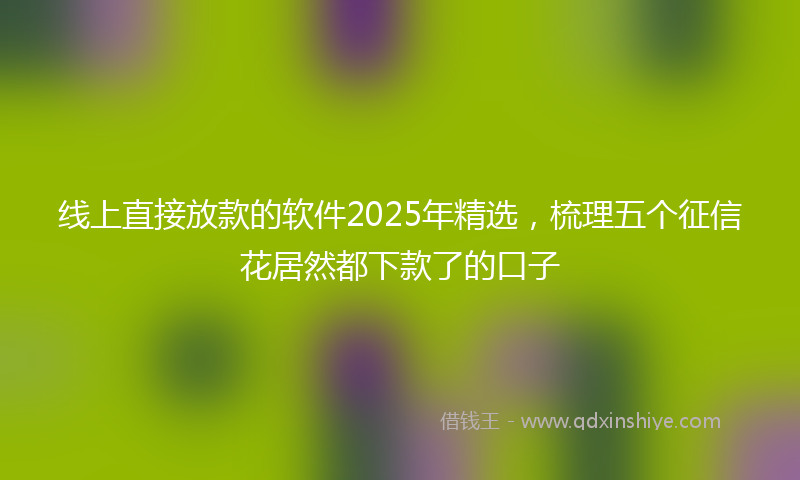 线上直接放款的软件2025年精选，梳理五个征信花居然都下款了的口子