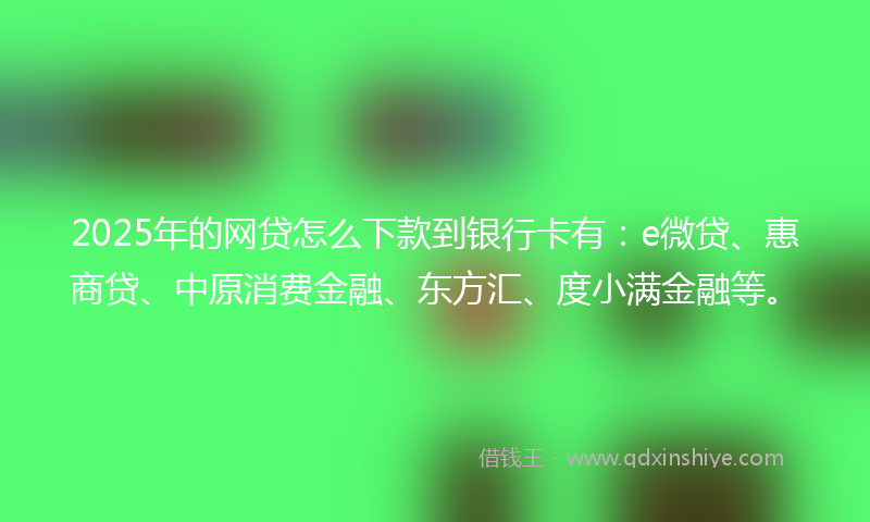2025年的网贷怎么下款到银行卡有：e微贷、惠商贷、中原消费金融、东方汇、度小满金融等。