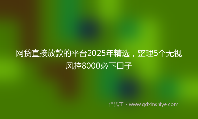 网贷直接放款的平台2025年精选，整理5个无视风控8000必下口子