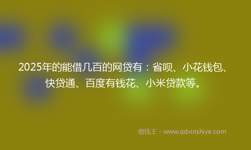2025年的能借几百的网贷有：省呗、小花钱包、快贷通、百度有钱花、小米贷款等。