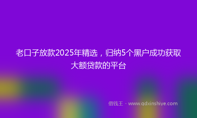 老口子放款2025年精选，归纳5个黑户成功获取大额贷款的平台