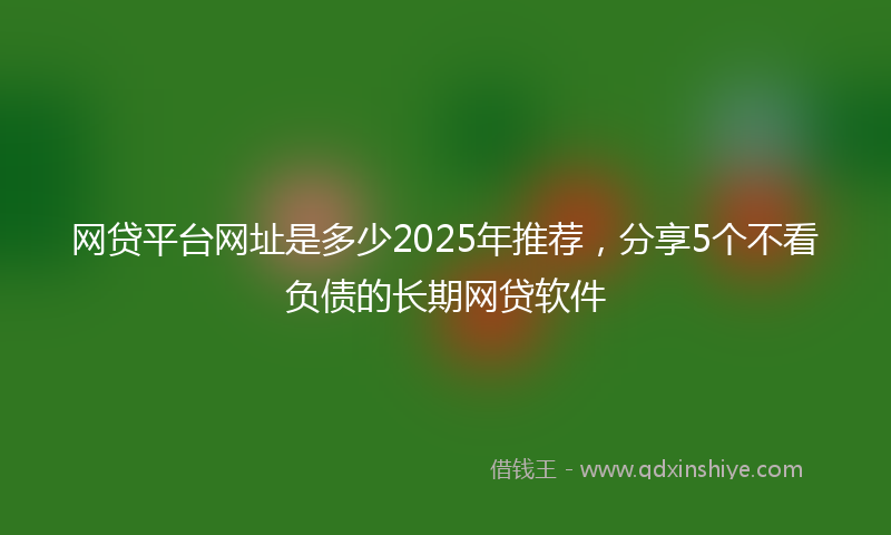 网贷平台网址是多少2025年推荐，分享5个不看负债的长期网贷软件