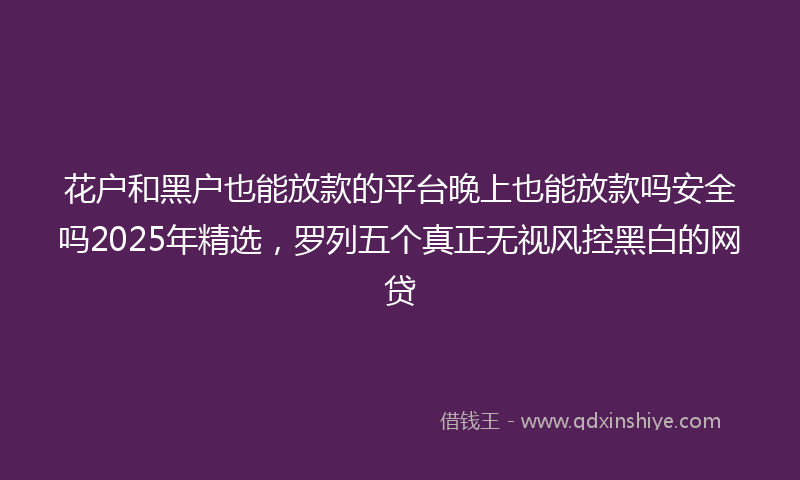 花户和黑户也能放款的平台晚上也能放款吗安全吗2025年精选，罗列五个真正无视风控黑白的网贷