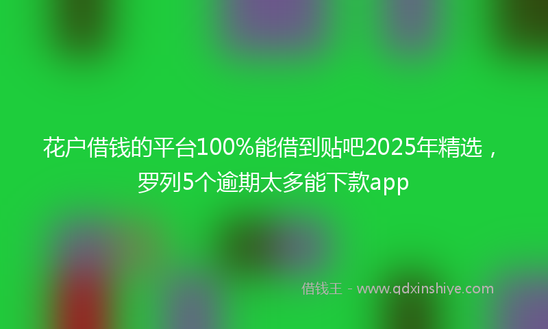 花户借钱的平台100%能借到贴吧2025年精选，罗列5个逾期太多能下款app