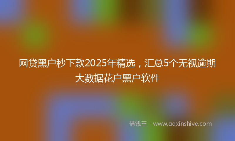 网贷黑户秒下款2025年精选，汇总5个无视逾期大数据花户黑户软件