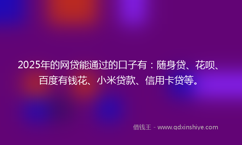 2025年的网贷能通过的口子有：随身贷、花呗、百度有钱花、小米贷款、信用卡贷等。