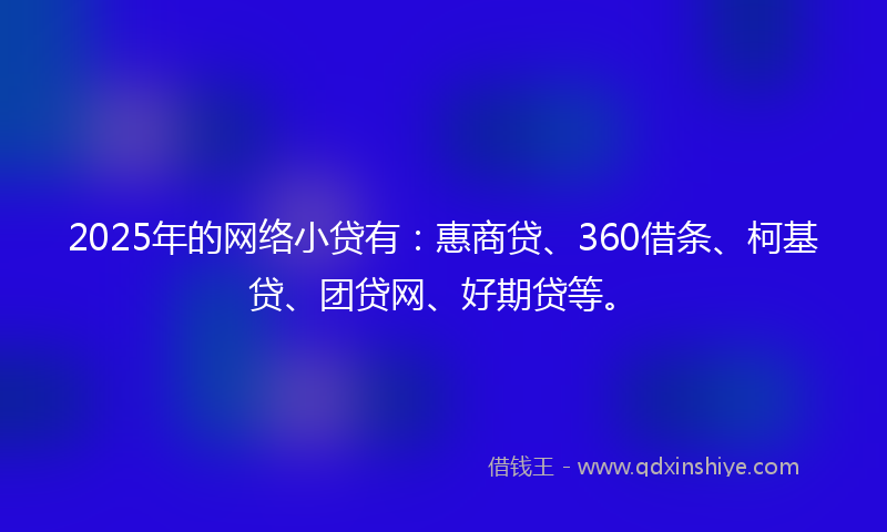 2025年的网络小贷有：惠商贷、360借条、柯基贷、团贷网、好期贷等。
