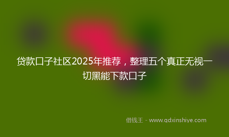 贷款口子社区2025年推荐，整理五个真正无视一切黑能下款口子