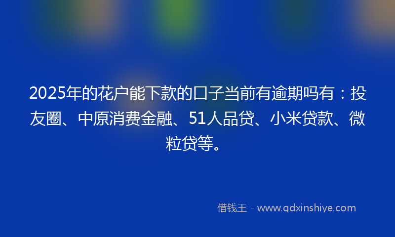 2025年的花户能下款的口子当前有逾期吗有：投友圈、中原消费金融、51人品贷、小米贷款、微粒贷等。