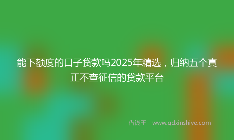 能下额度的口子贷款吗2025年精选，归纳五个真正不查征信的贷款平台