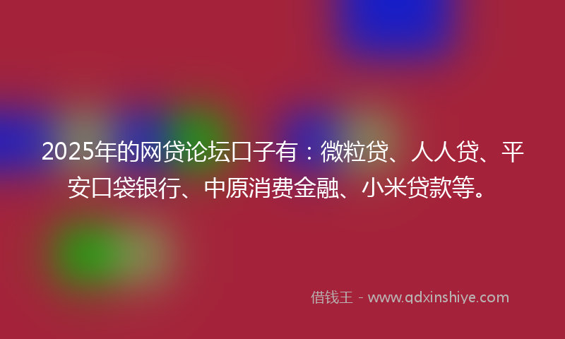 2025年的网贷论坛口子有：微粒贷、人人贷、平安口袋银行、中原消费金融、小米贷款等。