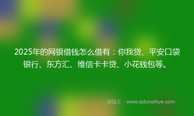 2025年的网银借钱怎么借有：你我贷、平安口袋银行、东方汇、维信卡卡贷、小花钱包等。
