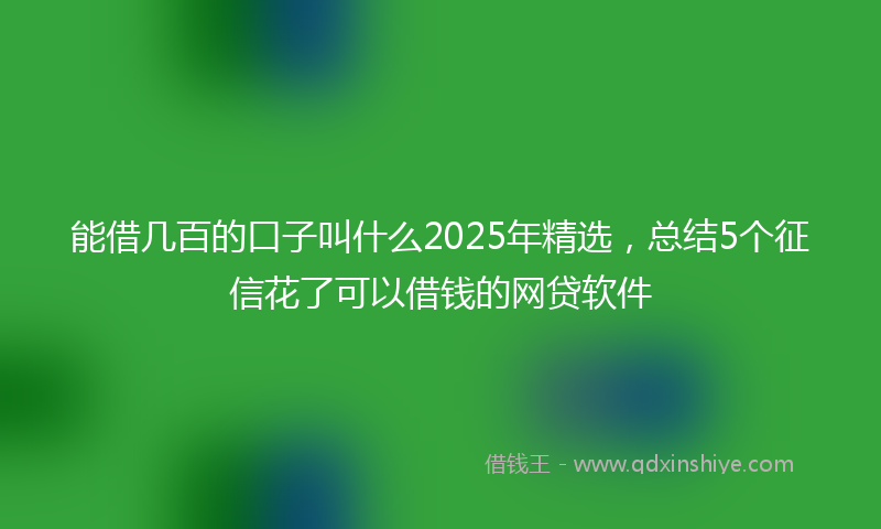 能借几百的口子叫什么2025年精选，总结5个征信花了可以借钱的网贷软件