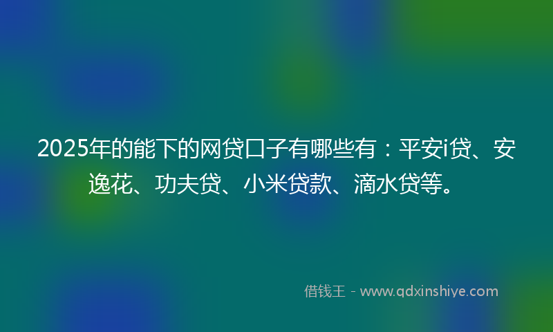 2025年的能下的网贷口子有哪些有：平安i贷、安逸花、功夫贷、小米贷款、滴水贷等。