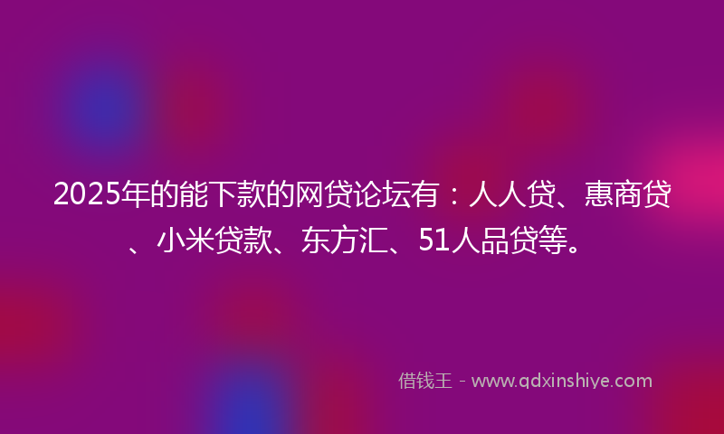 2025年的能下款的网贷论坛有：人人贷、惠商贷、小米贷款、东方汇、51人品贷等。
