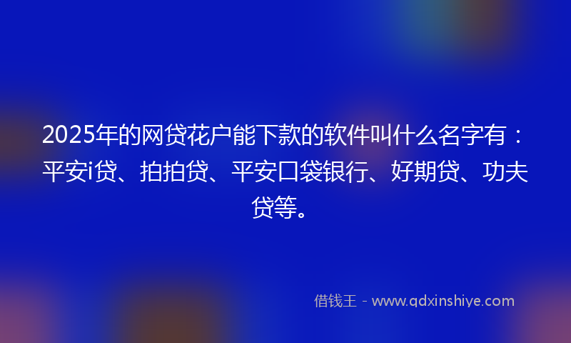 2025年的网贷花户能下款的软件叫什么名字有：平安i贷、拍拍贷、平安口袋银行、好期贷、功夫贷等。