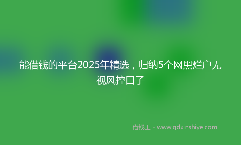 能借钱的平台2025年精选，归纳5个网黑烂户无视风控口子