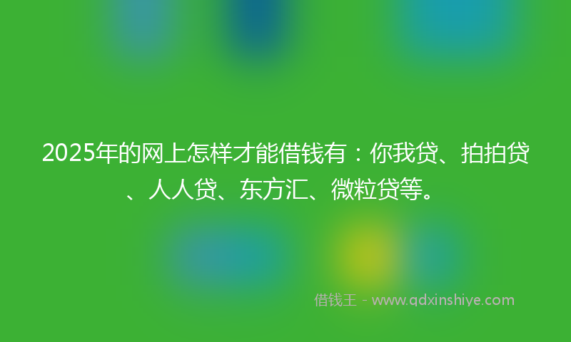2025年的网上怎样才能借钱有：你我贷、拍拍贷、人人贷、东方汇、微粒贷等。