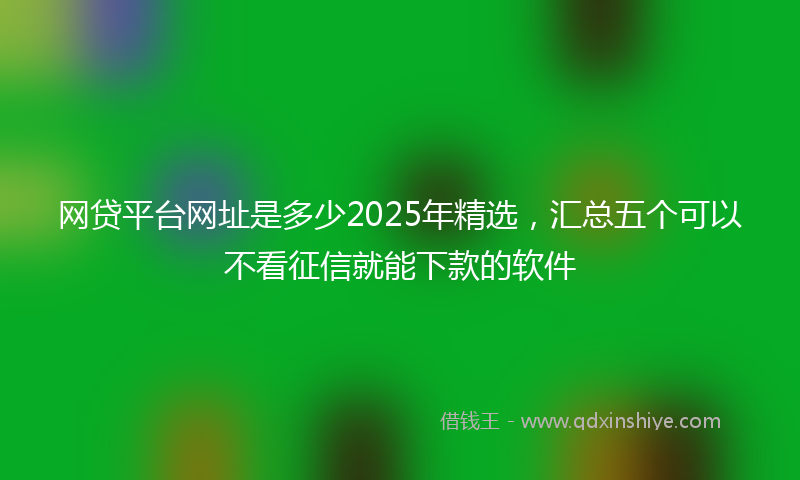 网贷平台网址是多少2025年精选，汇总五个可以不看征信就能下款的软件