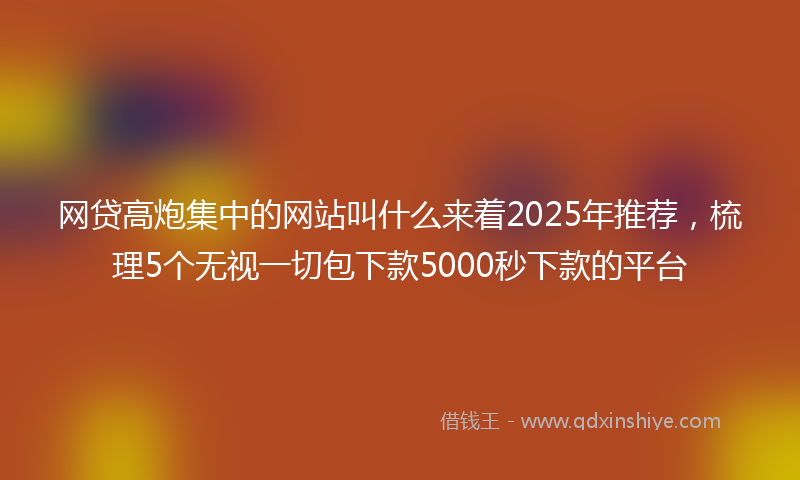 网贷高炮集中的网站叫什么来着2025年推荐，梳理5个无视一切包下款5000秒下款的平台