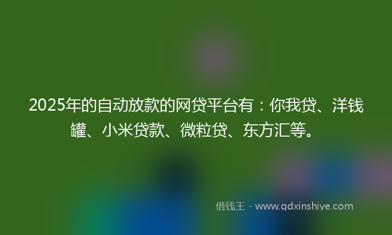 2025年的自动放款的网贷平台有：你我贷、洋钱罐、小米贷款、微粒贷、东方汇等。