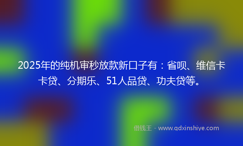 2025年的纯机审秒放款新口子有：省呗、维信卡卡贷、分期乐、51人品贷、功夫贷等。