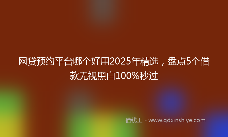 网贷预约平台哪个好用2025年精选，盘点5个借款无视黑白100%秒过