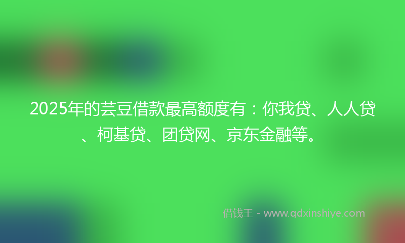 2025年的芸豆借款最高额度有：你我贷、人人贷、柯基贷、团贷网、京东金融等。