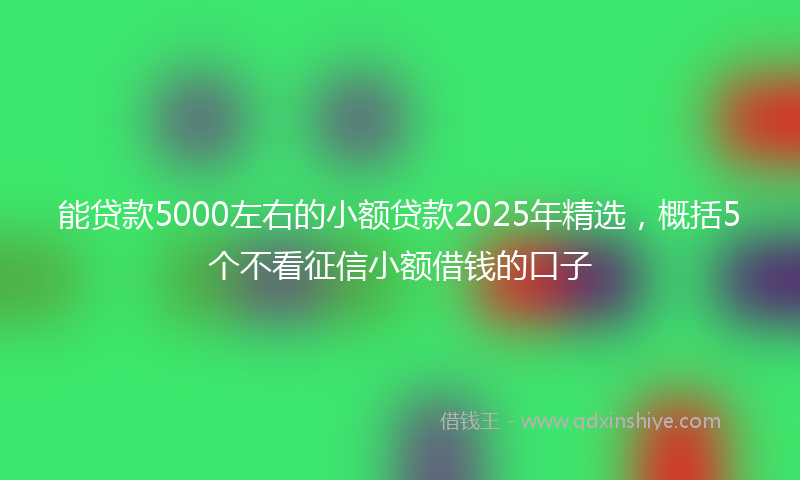 能贷款5000左右的小额贷款2025年精选，概括5个不看征信小额借钱的口子