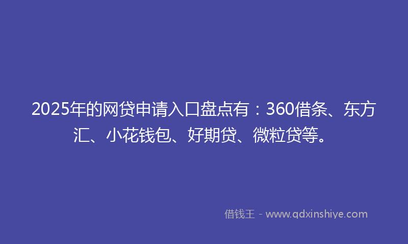 2025年的网贷申请入口盘点有：360借条、东方汇、小花钱包、好期贷、微粒贷等。