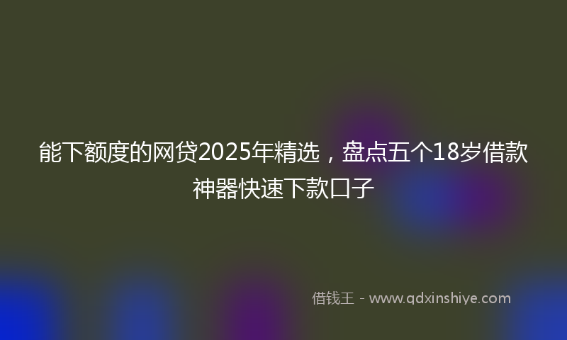 能下额度的网贷2025年精选，盘点五个18岁借款神器快速下款口子