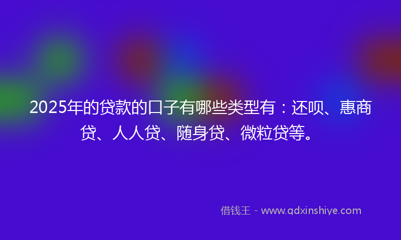 2025年的贷款的口子有哪些类型有：还呗、惠商贷、人人贷、随身贷、微粒贷等。